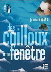 Couverture de Des cailloux à ma fenêtre