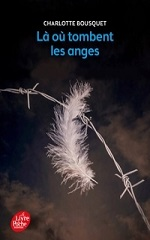 Couverture Là où tombent les anges