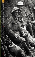 Couverture La Première Guerre mondiale (Bénédicte Le Loarer)